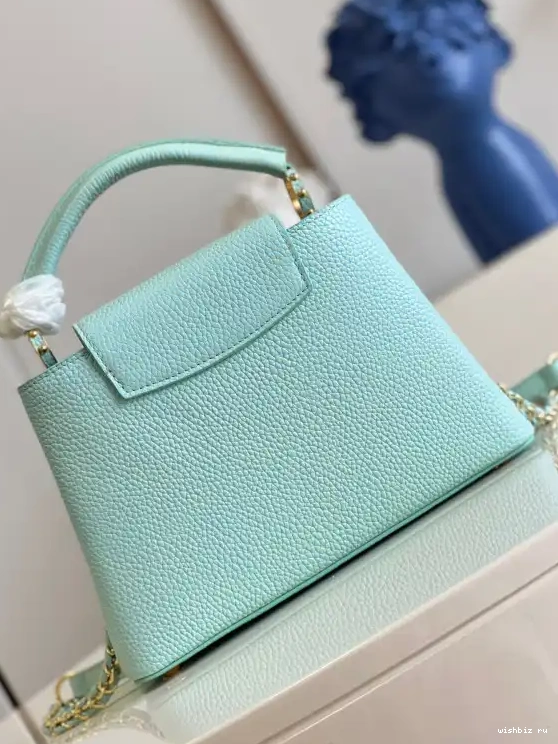WIS BB VUITTON LOUIS CAPUCINES 0422